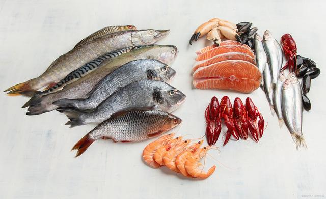 1690447489280124.jpeg 水產養殖.jpeg