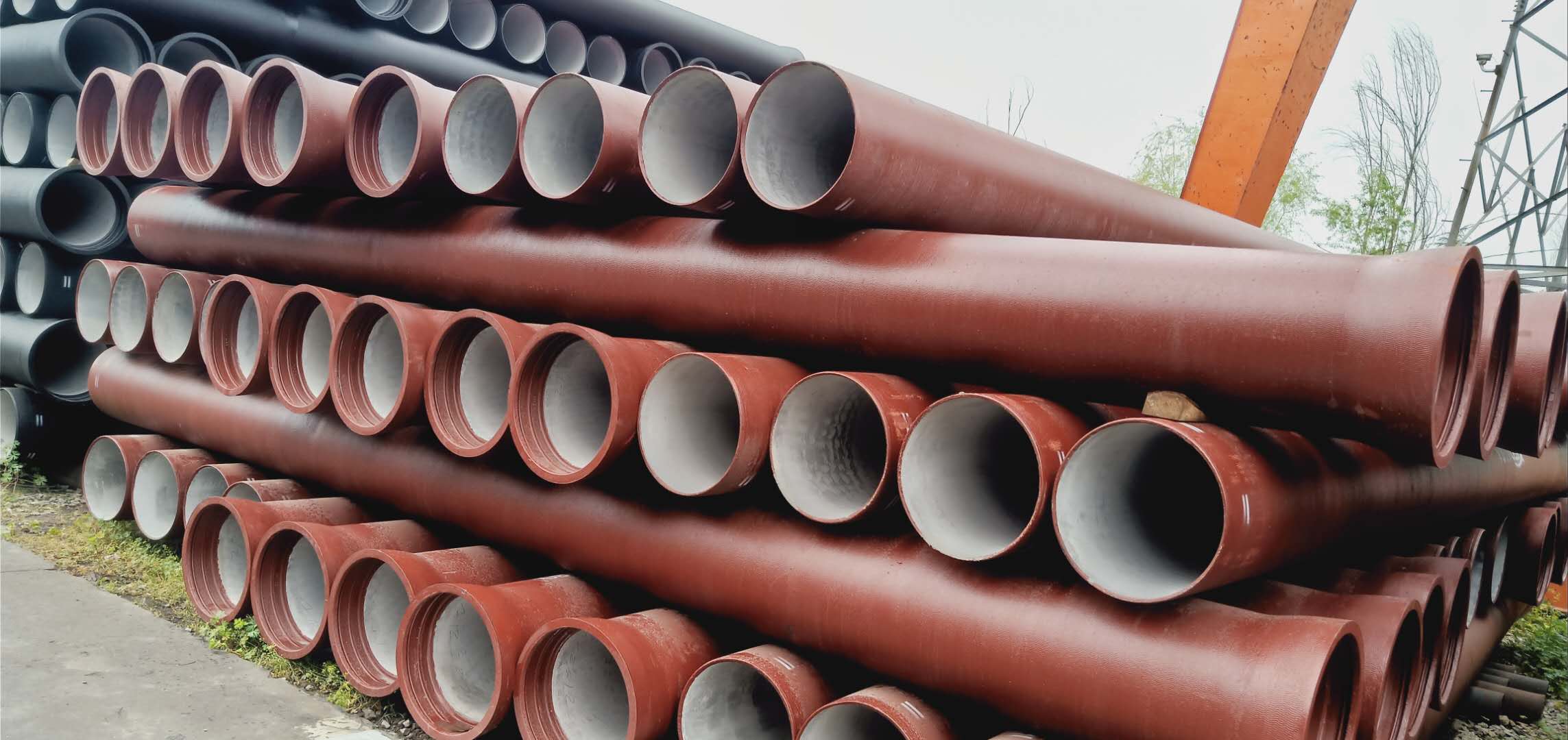 1700103841298649.jpg 1700103841298649.jpg