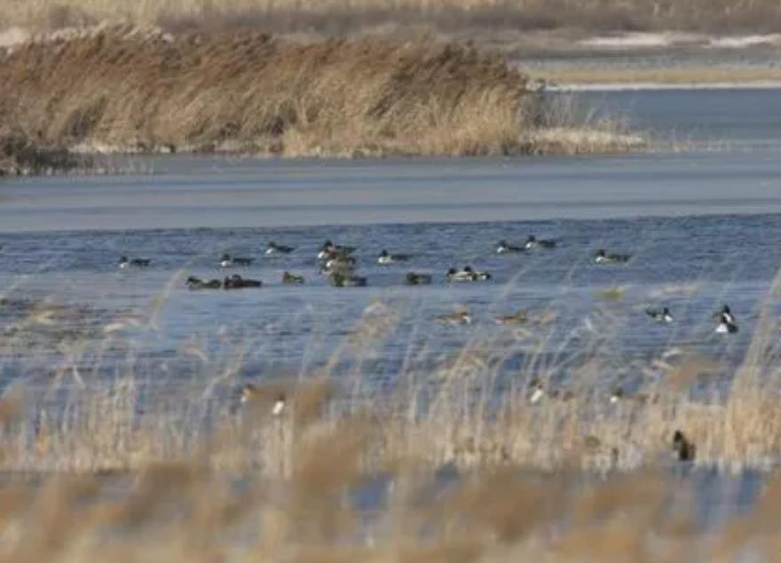 1705114462186523.jpg 1705114462186523.jpg