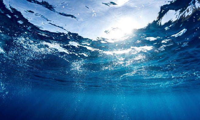 1730266394824471.jpg 海洋科學.jpg